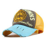 [FLB] Brear Downs Cap